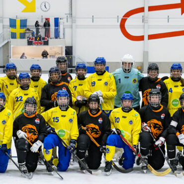 Sverige Nederländerna bandy
