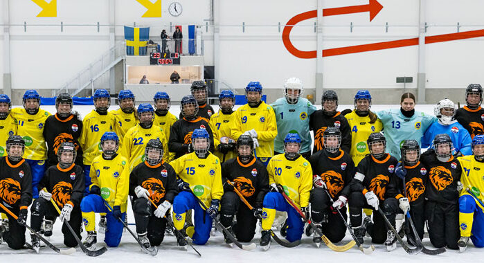 Sverige Nederländerna bandy