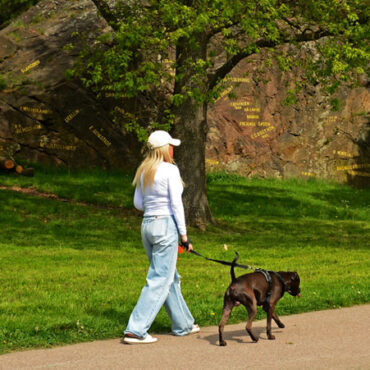 SA Hedlunds gästbok 1