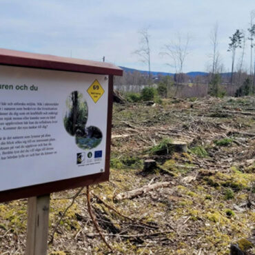 Fulaste hygget Sunne