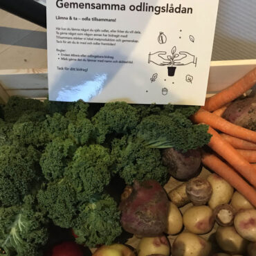 Gemensam odlingslåda Hushållningssällskapet Vinnova Universeum